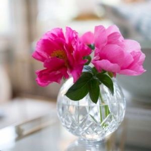 Meet your Posher, Joanne